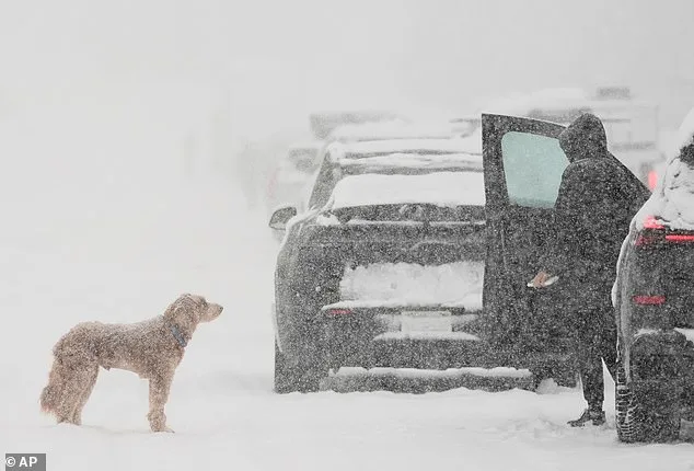 Massive Winter Storm Threatens 27 States as Uncertainty Lingers Over East Coast's Fate