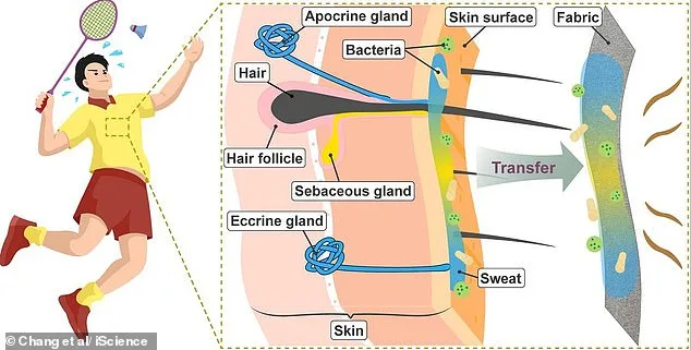 Don't Wash Sweaty Clothes Immediately: Let Them Breathe to Eliminate Odor and Bacteria