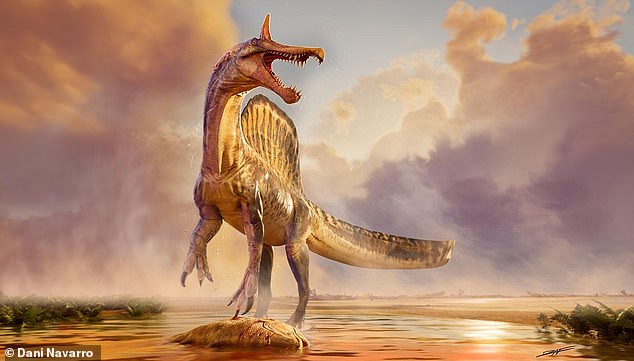 Dragon-Like Fossil Found in Sahara: Spinosaurus mirabilis Stuns Scientists and Public
