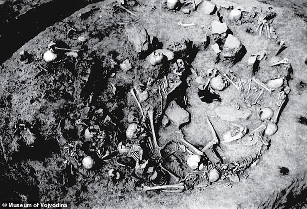 Unearthing a 9th-Century Massacre: Serbia's Forgotten Chapter of Violent History