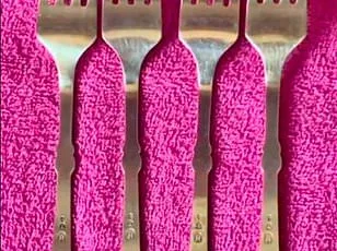 Ambiguous Photo Causes Viral Debate on Social Media