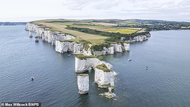 Reckless Father Ignores Warnings at Old Harry Rocks, Puts Child in Jeopardy
