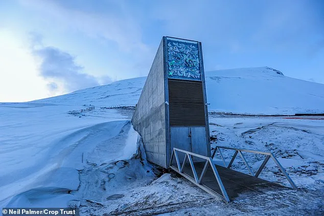 Svalbard Global Seed Vault Receives 7,800 New Samples, Expanding Collection to 1.4 Million Amid Climate and Geopolitical Urgency