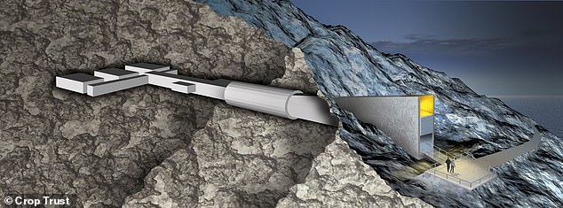 Svalbard Global Seed Vault Receives 7,800 New Samples, Expanding Collection to 1.4 Million Amid Climate and Geopolitical Urgency