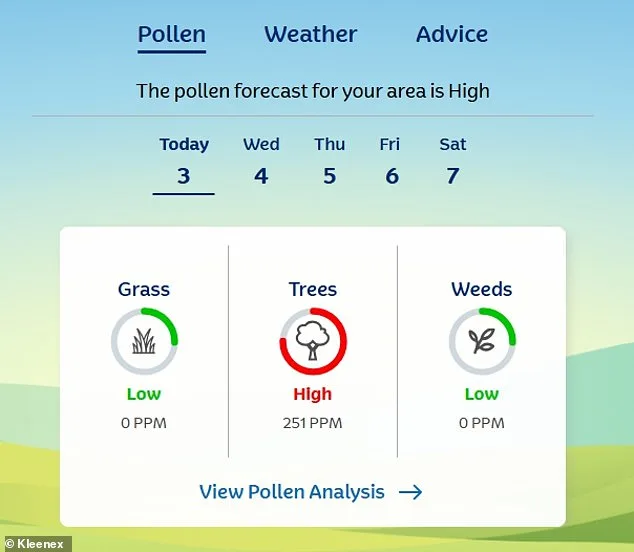 UK's 'Pollen Bomb' Threatens Hay Fever Sufferers as Sun Finally Shines