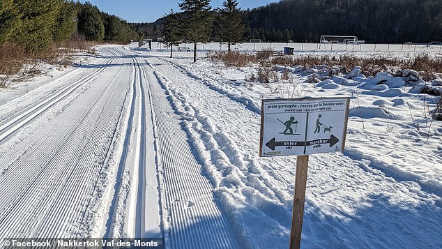 Tragic Sledding Accident Claims Life of Four-Year-Old Girl in Ontario