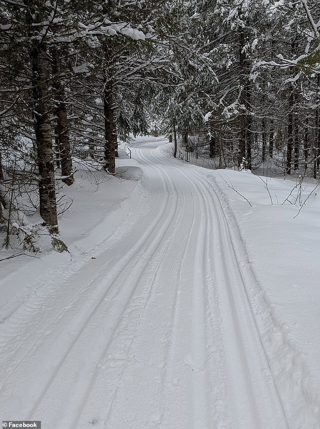 Tragic Sledding Accident Claims Life of Four-Year-Old Girl in Ontario