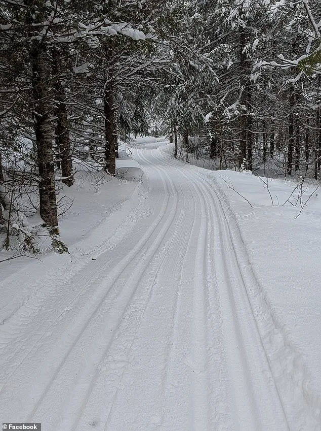 Tragic Sledding Accident Claims Life of Four-Year-Old Girl in Ontario