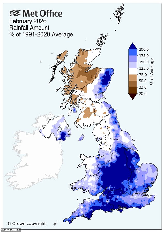 Britain's Gardens Bracing for 'Slugageddon' in 2026 as Wet Winter Sparks Slug Surge