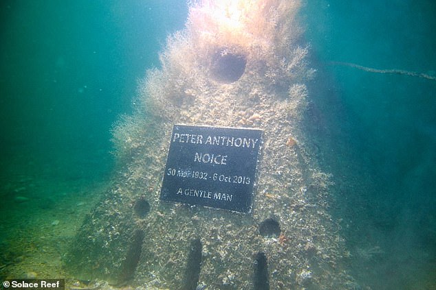 The Rise of Eco-Friendly Burials in the UK: A Shift Towards Sustainable End-of-Life Choices