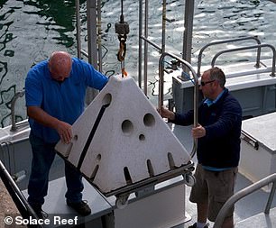 The Rise of Eco-Friendly Burials in the UK: A Shift Towards Sustainable End-of-Life Choices