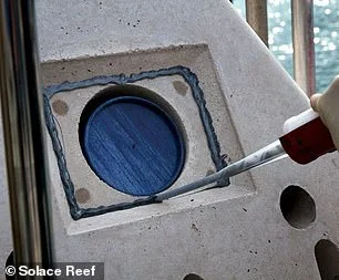 The Rise of Eco-Friendly Burials in the UK: A Shift Towards Sustainable End-of-Life Choices