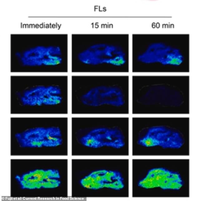 Astringent Taste of Red Wine and Chocolate May Boost Brain Power, Study Suggests