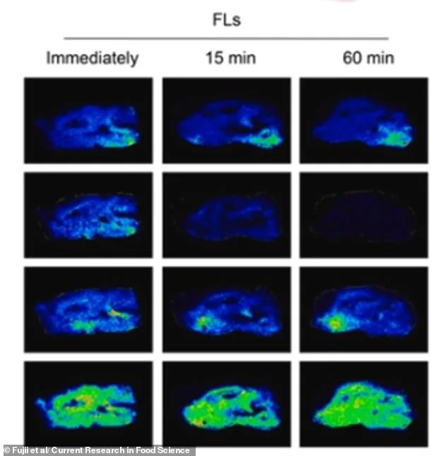 Astringent Taste of Red Wine and Chocolate May Boost Brain Power, Study Suggests