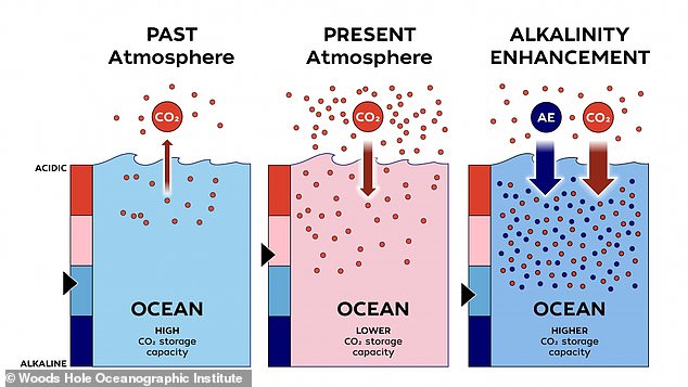 Controversial Experiment in Gulf of Maine Aims to Boost Ocean's CO2 Absorption, Raising Alarms Over Ecological Risks