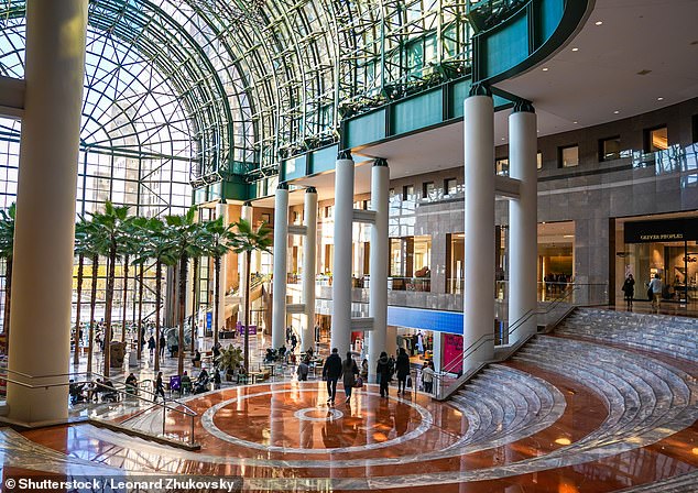 Generation Z's Unexpected Lifeline: How Young Shoppers Are Reviving America's Struggling Shopping Malls