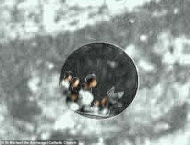 Miracle or Optical Illusion? Microscopic Figures in 16th-Century Tilma of Guadalupe Reignite Debate