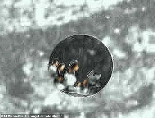 Miracle or Optical Illusion? Microscopic Figures in 16th-Century Tilma of Guadalupe Reignite Debate