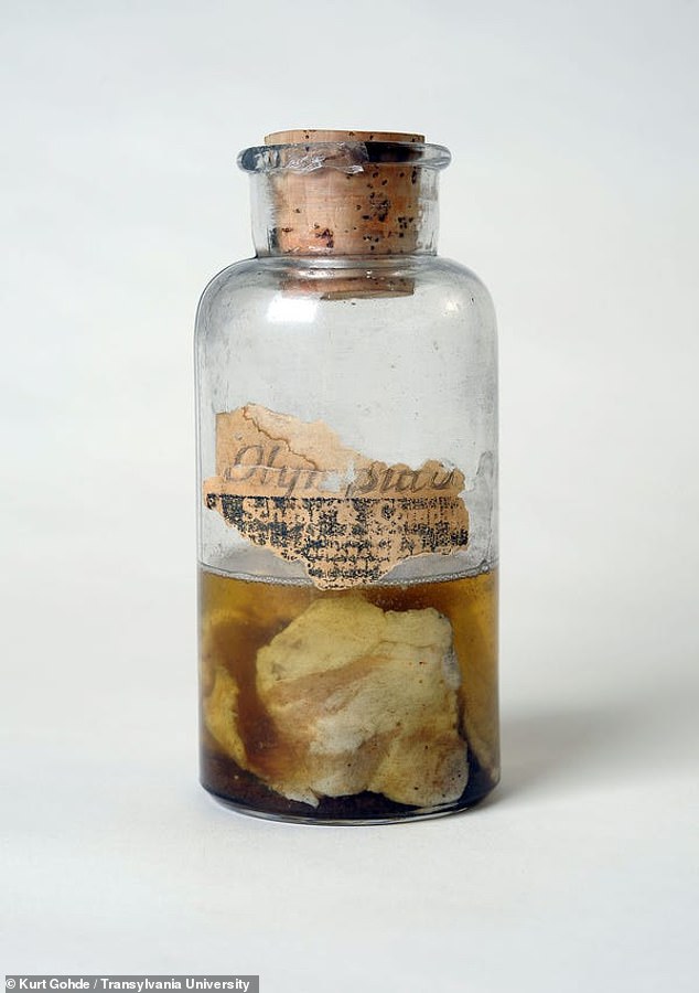 The Mysterious Kentucky Meat Shower of 1876: When Raw Meat Rained from the Sky