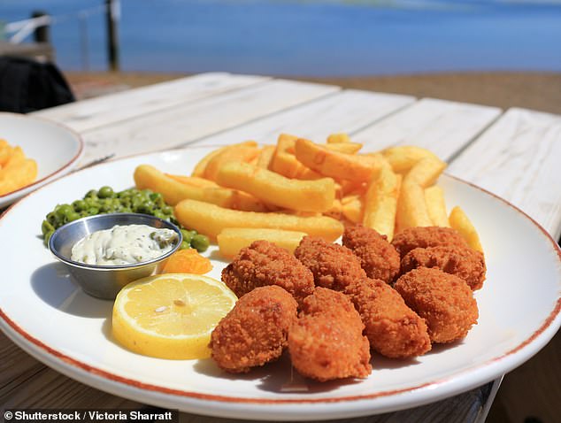 Scampi and Chips Under Climate Scrutiny as Bottom Trawling Threatens Marine Ecosystems and Carbon Stores