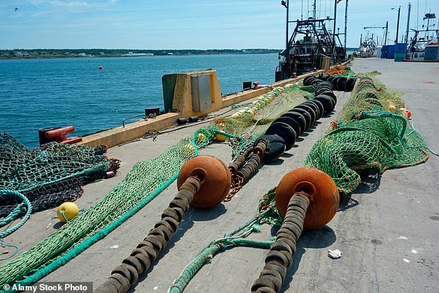 Scampi and Chips Under Climate Scrutiny as Bottom Trawling Threatens Marine Ecosystems and Carbon Stores