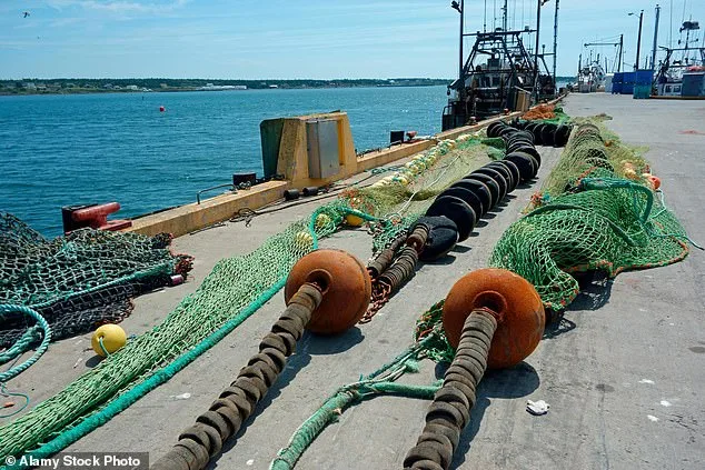 Scampi and Chips Under Climate Scrutiny as Bottom Trawling Threatens Marine Ecosystems and Carbon Stores