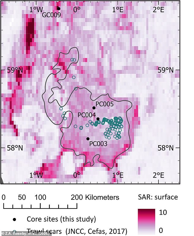 Scampi and Chips Under Climate Scrutiny as Bottom Trawling Threatens Marine Ecosystems and Carbon Stores