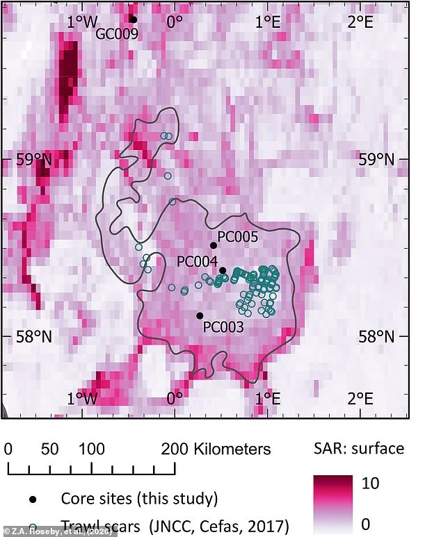 Scampi and Chips Under Climate Scrutiny as Bottom Trawling Threatens Marine Ecosystems and Carbon Stores