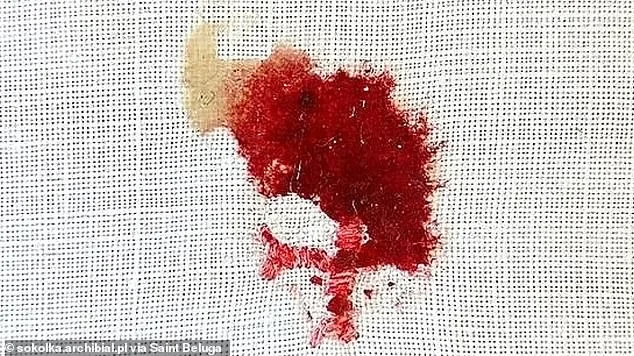 From Bread to Blood: The Enigmatic History of Eucharistic Miracles That Challenge Science