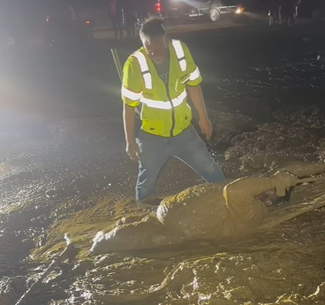 Mississippi Man Trapped in Waist-Deep Mud During ATV Rescue Attempt, Stranded for Three Hours