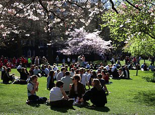 Spring Arrives as Vernal Equinox Marks Celestial Shift and Seasonal Renewal