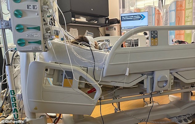 Four-Year-Old Girl in Southern California Battles Life-Threatening Esophageal Injury After Swallowing Button Battery