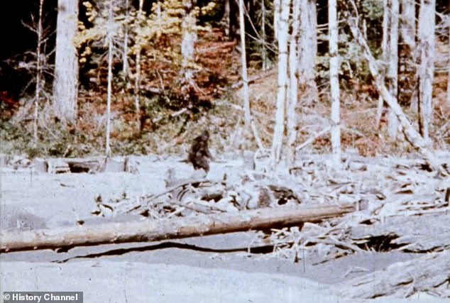 New Evidence Suggests 1967 Patterson-Gimlin Bigfoot Film Was Staged, Claims Documentary