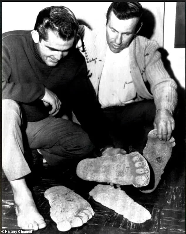 New Evidence Suggests 1967 Patterson-Gimlin Bigfoot Film Was Staged, Claims Documentary