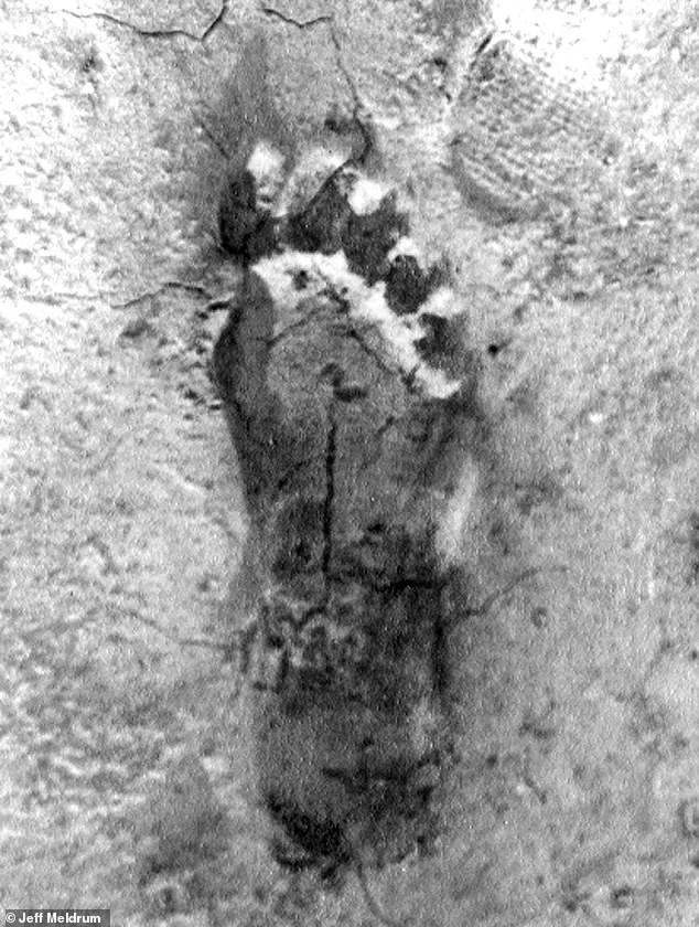 New Evidence Suggests 1967 Patterson-Gimlin Bigfoot Film Was Staged, Claims Documentary