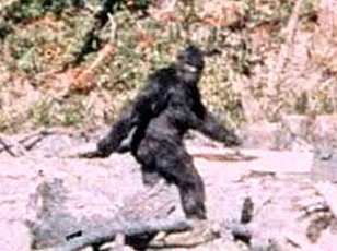 New Evidence Suggests 1967 Patterson-Gimlin Bigfoot Film Was Staged, Claims Documentary