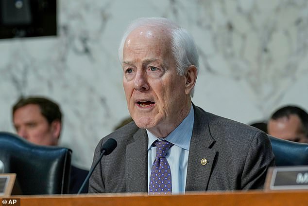 Trump Ally Accuses Texas Senator John Cornyn of Orchestrating Scheme to Advance Democratic Donor's UN Nomination