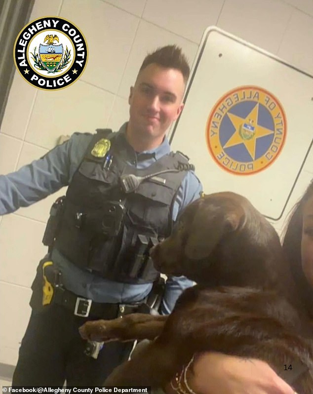Abandoned Chocolate Labrador at Pittsburgh Airport Sparks Legal and Policy Debate