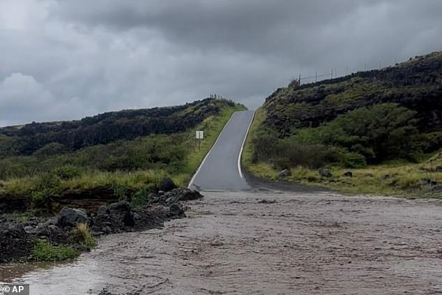 From Cartel Violence to Historic Flooding: A Couple's Unforeseen Vacation Disruption
