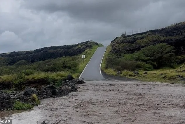 From Cartel Violence to Historic Flooding: A Couple's Unforeseen Vacation Disruption