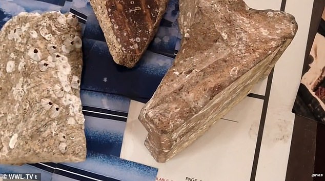 Retired Architect Claims Discovery of 12,000-Year-Old Submerged City and Mysterious Pyramid in Gulf of Mexico