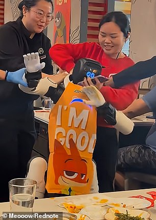 Can Humanoid Robots Safely Navigate the Chaos of Human Environments?