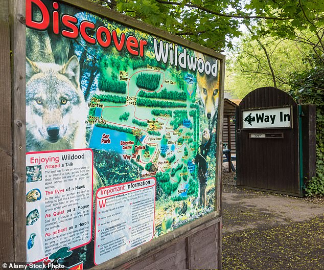 Last Resort Euthanasia of Wildwood Trust's Wolves Due to Violent Pack Dynamics and Fatal Injuries