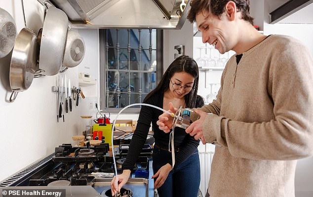 UK Study Reveals Gas Stoves Emit Cancer-Causing Benzene at Levels Comparable to Smoking Exposure