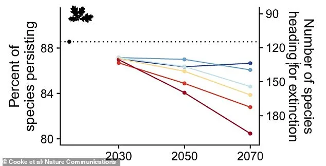 Britain's Wildlife on Brink of Extinction: Study Predicts 196 Plant Species Lost by 2070 Without Action