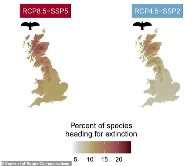 Britain's Wildlife on Brink of Extinction: Study Predicts 196 Plant Species Lost by 2070 Without Action