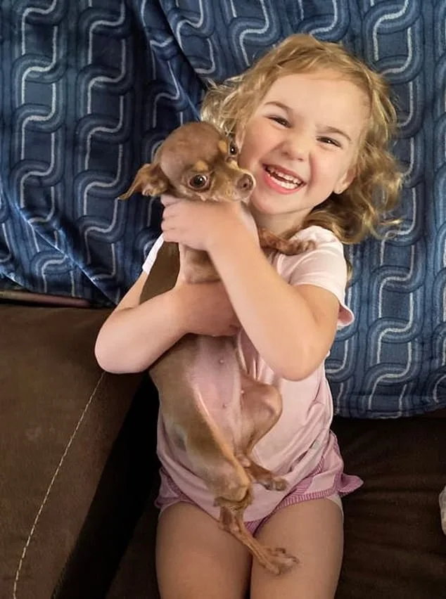 Florida Governor DeSantis Demands Judge's Removal Over Release of Sex Offender Accused in Stepdaughter's Murder, Signs Missy's Law in Response