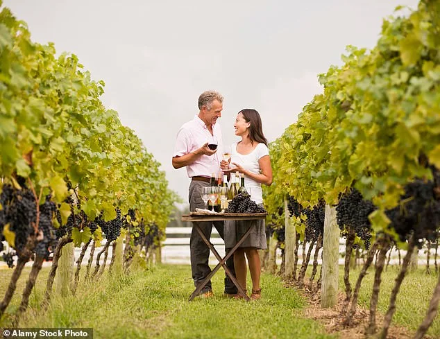 Lindsay Hoopes' Winery at Center of $4 Million Legal Dispute Over Regulatory Violations