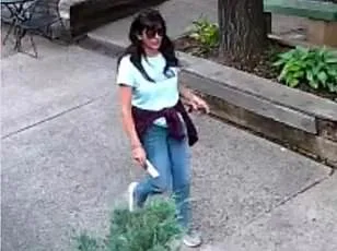 Mysterious Deaths and Disappearances Among Scientists Linked to U.S. Classified Research Spark Security Concerns