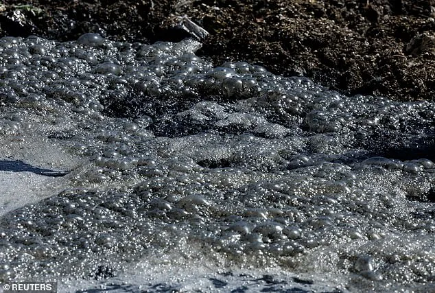 San Diego Beaches Closed Due to Sewage Overflow from Tijuana River, Sparking Public Health Crisis